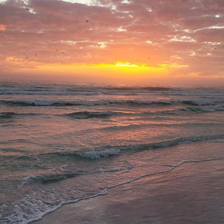 Siesta Key Condo - On The Water ! Luaran gambar