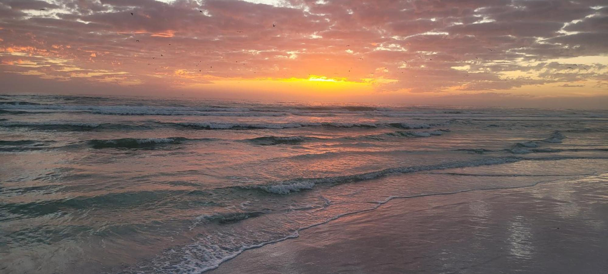 Siesta Key Condo - On The Water ! Luaran gambar