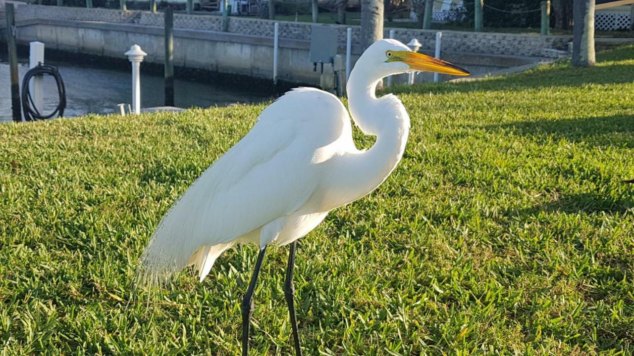 Siesta Key Condo - On The Water ! Luaran gambar